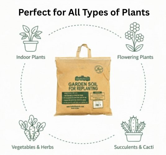 Logo Item